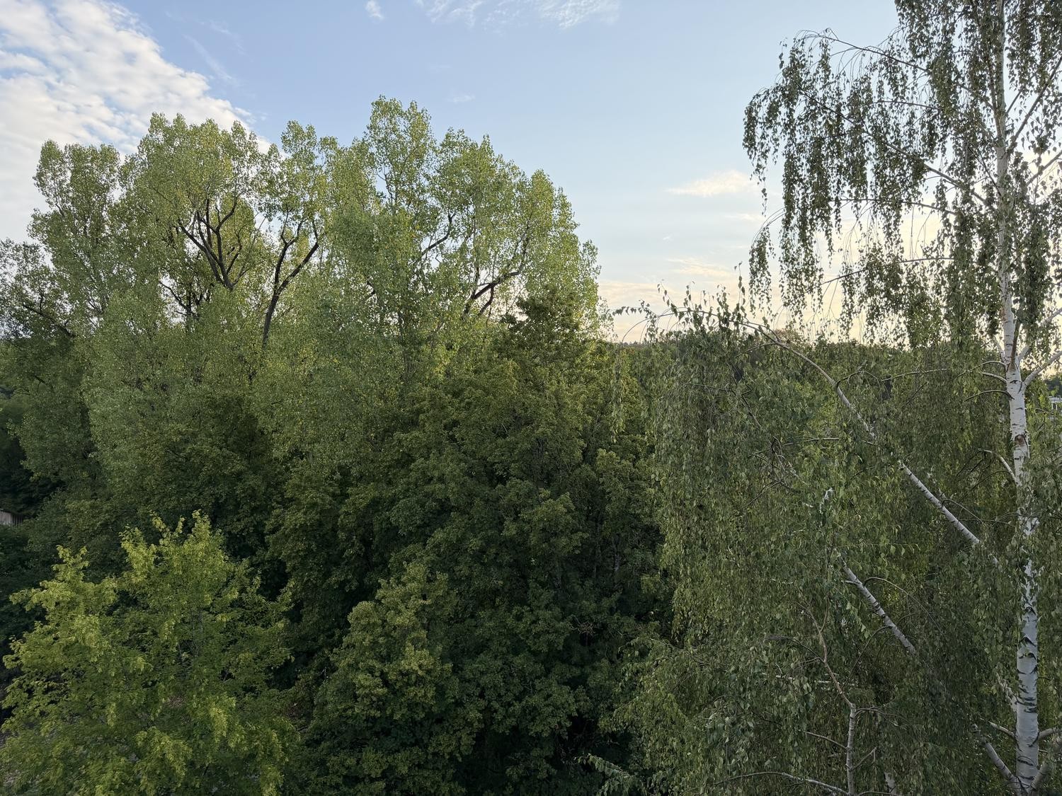 3 ½ Zimmer Wohnung, Foto 7 von 10
