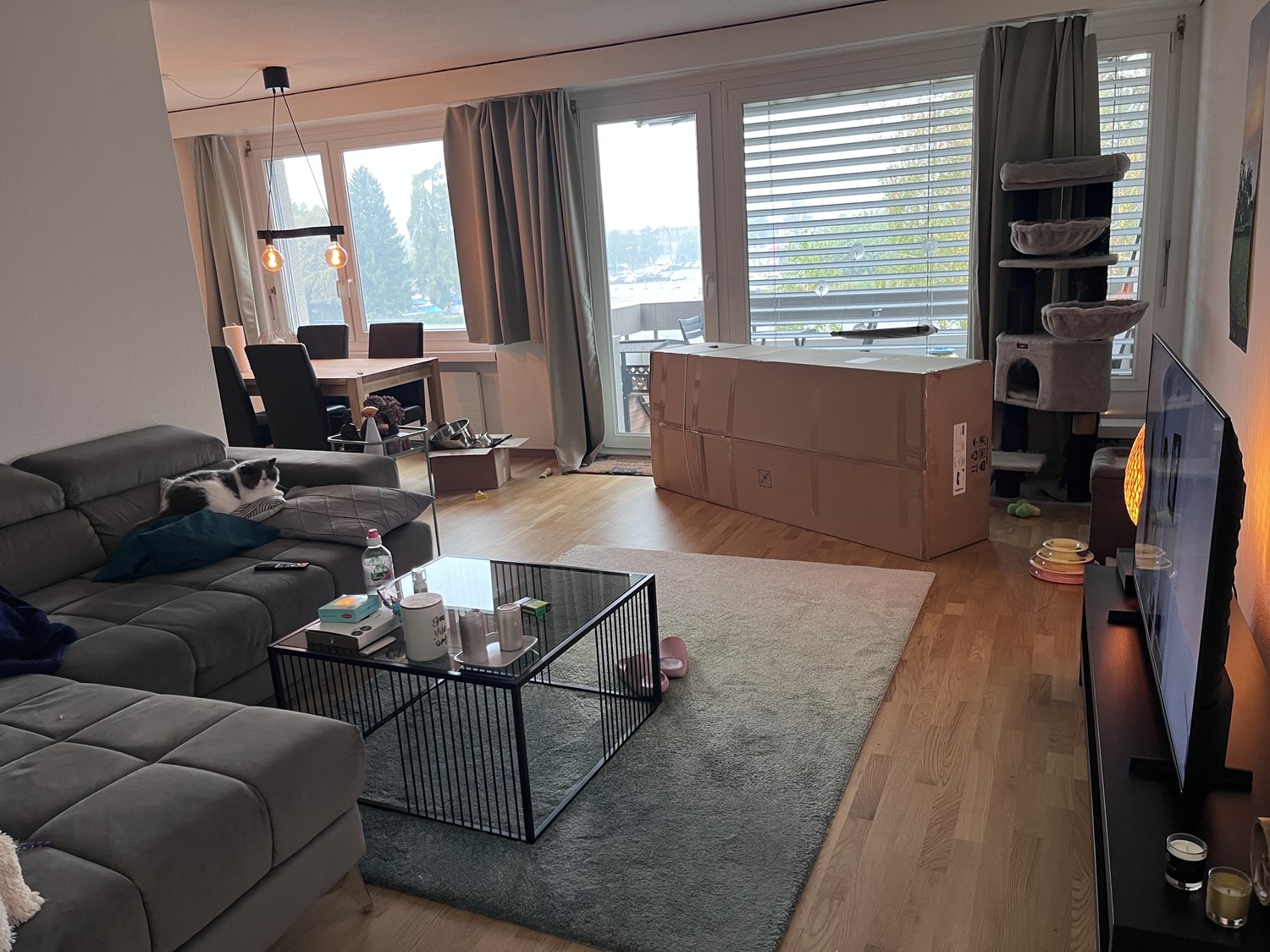 2 ½ rooms apartment