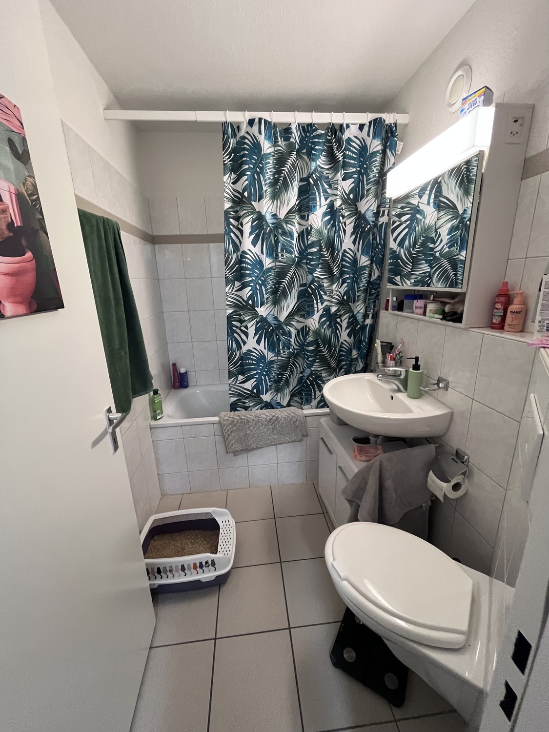 2 ½ rooms apartment