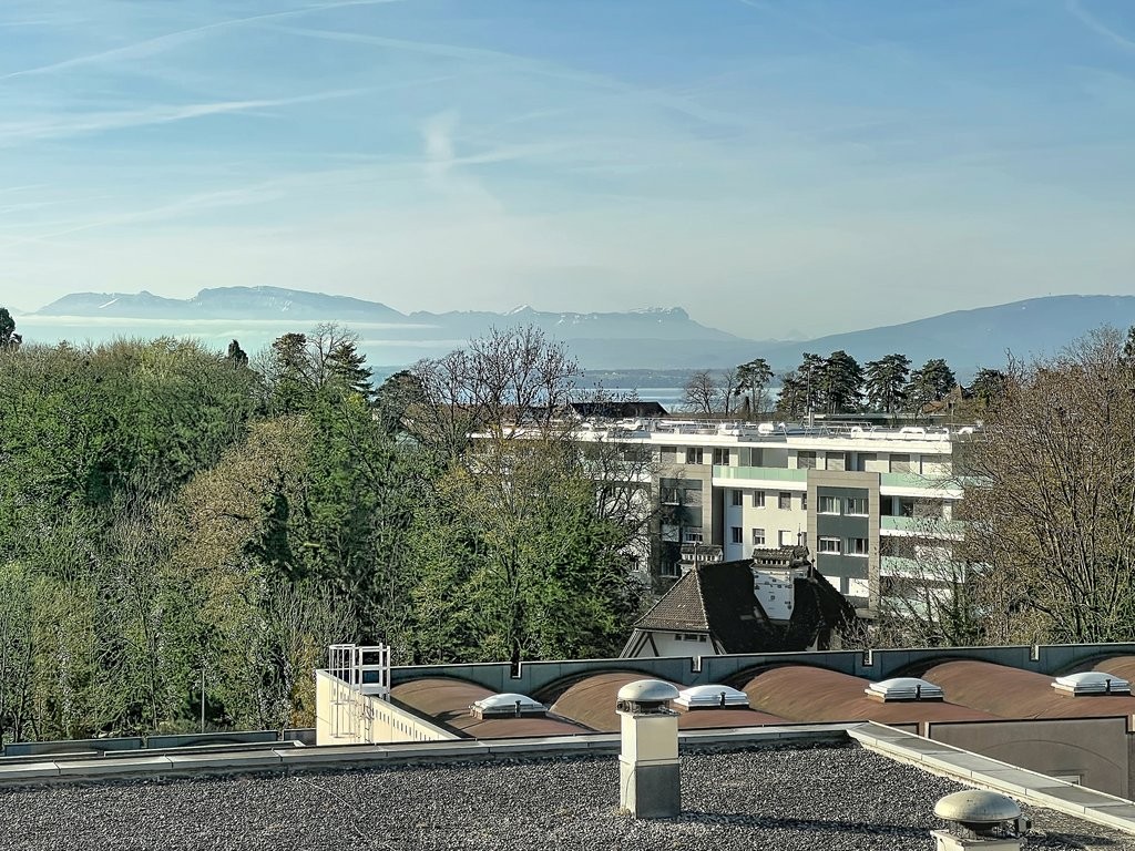 313m² office, Foto 5 von 7