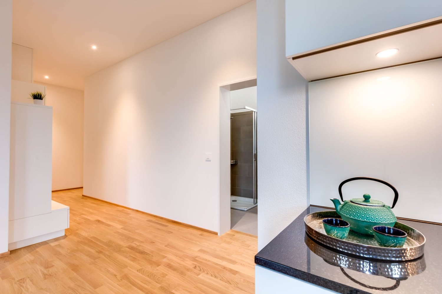 2 ½ pièces appartement