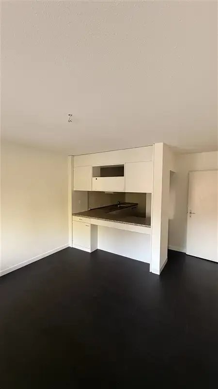 Duplex de 3 ½ pièces