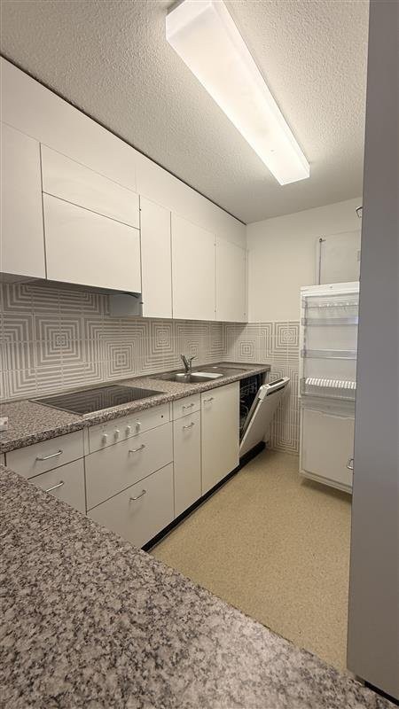 Duplex de 3 ½ pièces