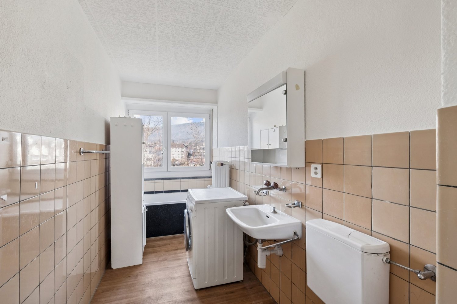 4 ½ rooms apartment (9)
