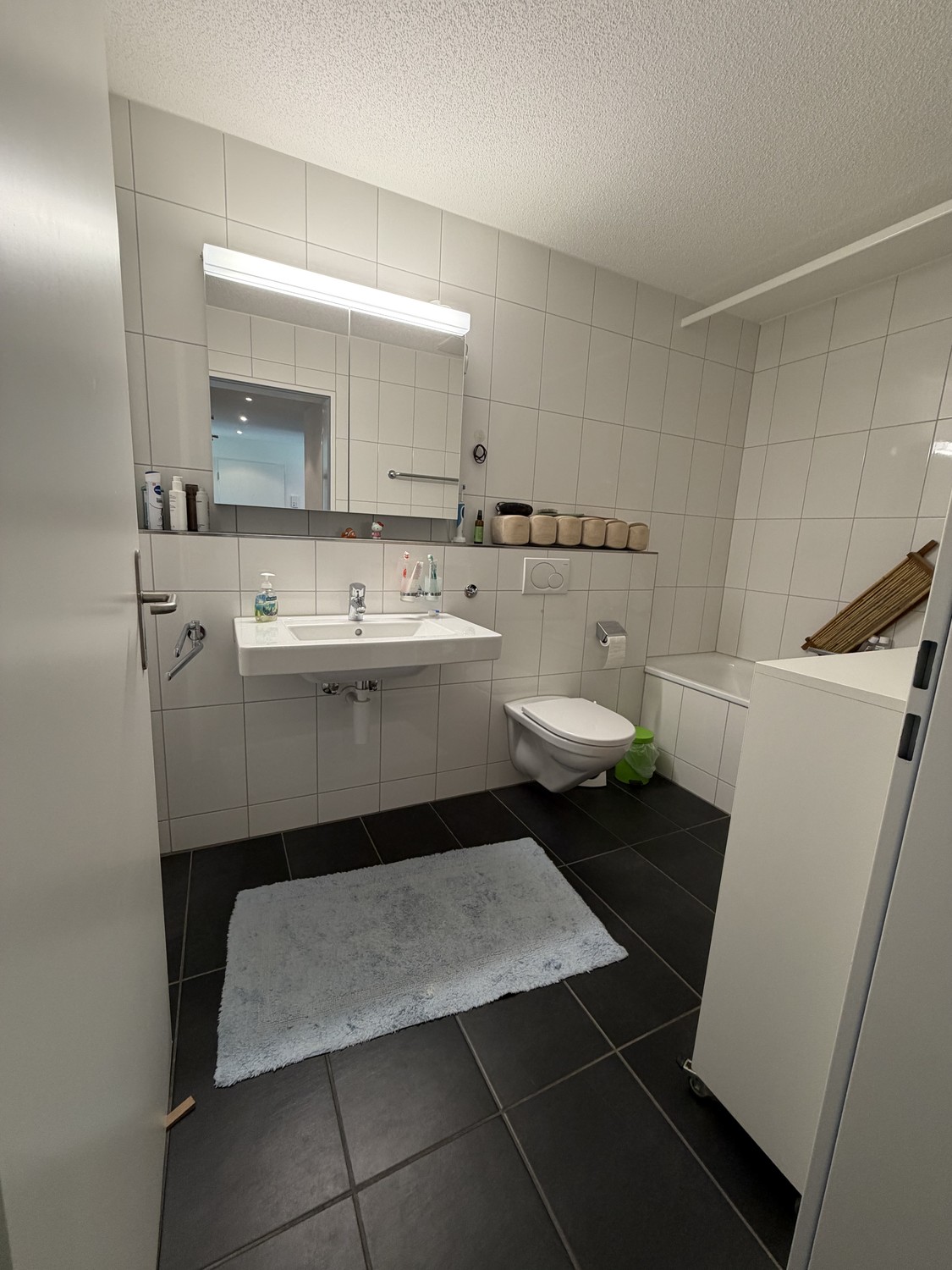 3 ½ rooms apartment (3)