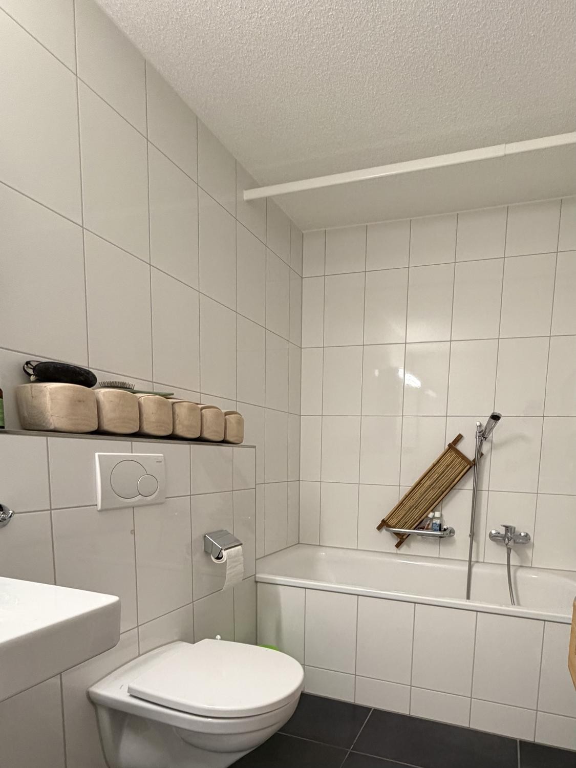 3 ½ rooms apartment (4)