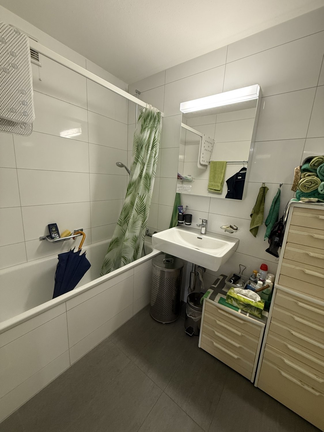 4 ½ rooms apartment, photo 3 sur 6