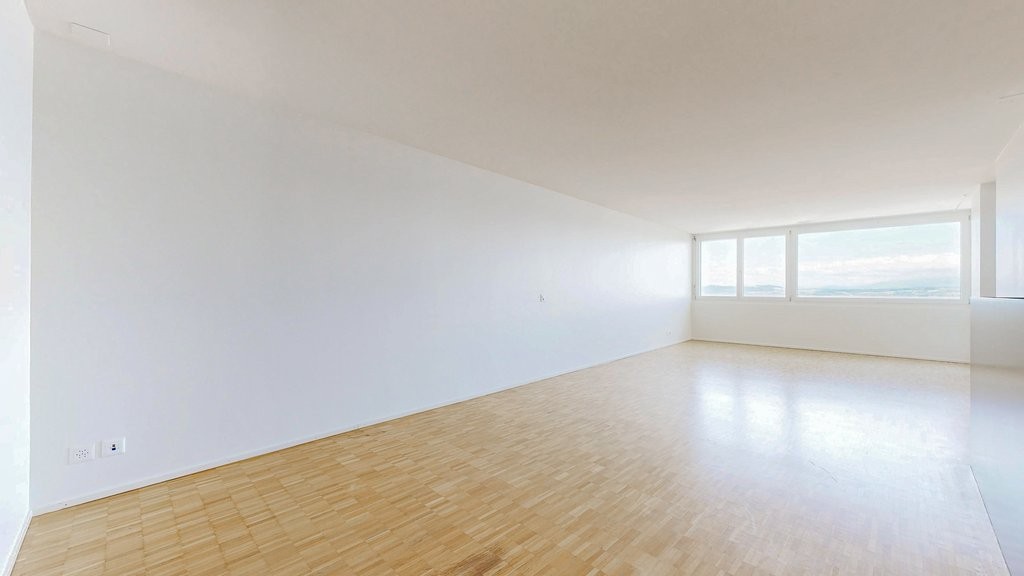 4 ½ rooms apartment (4)