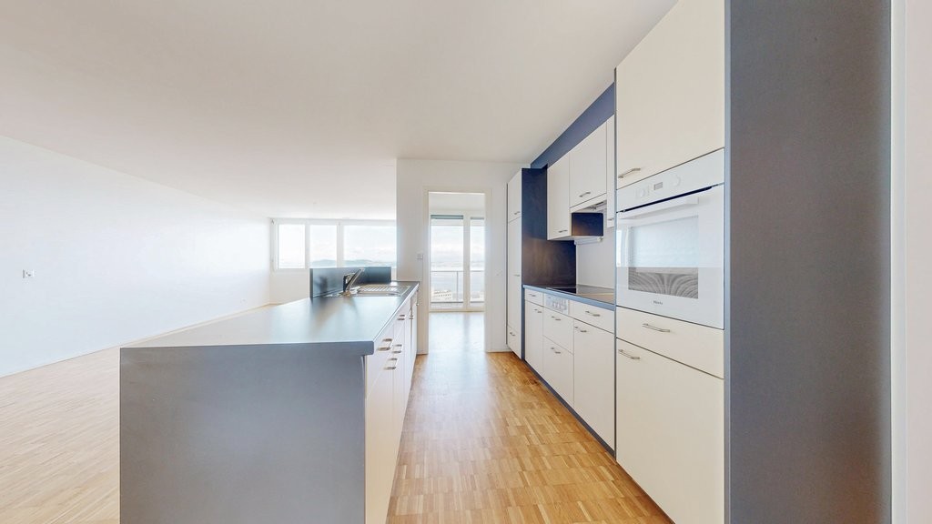 4 ½ rooms apartment (2)