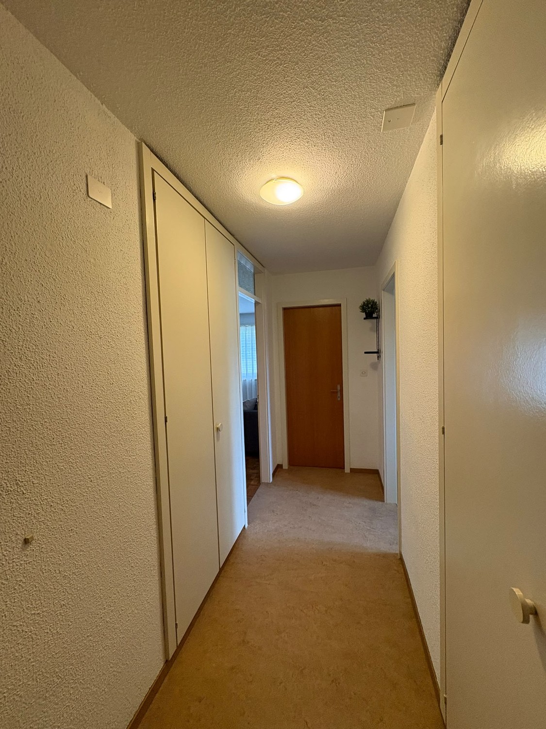 2 rooms apartment, Foto 8 von 9