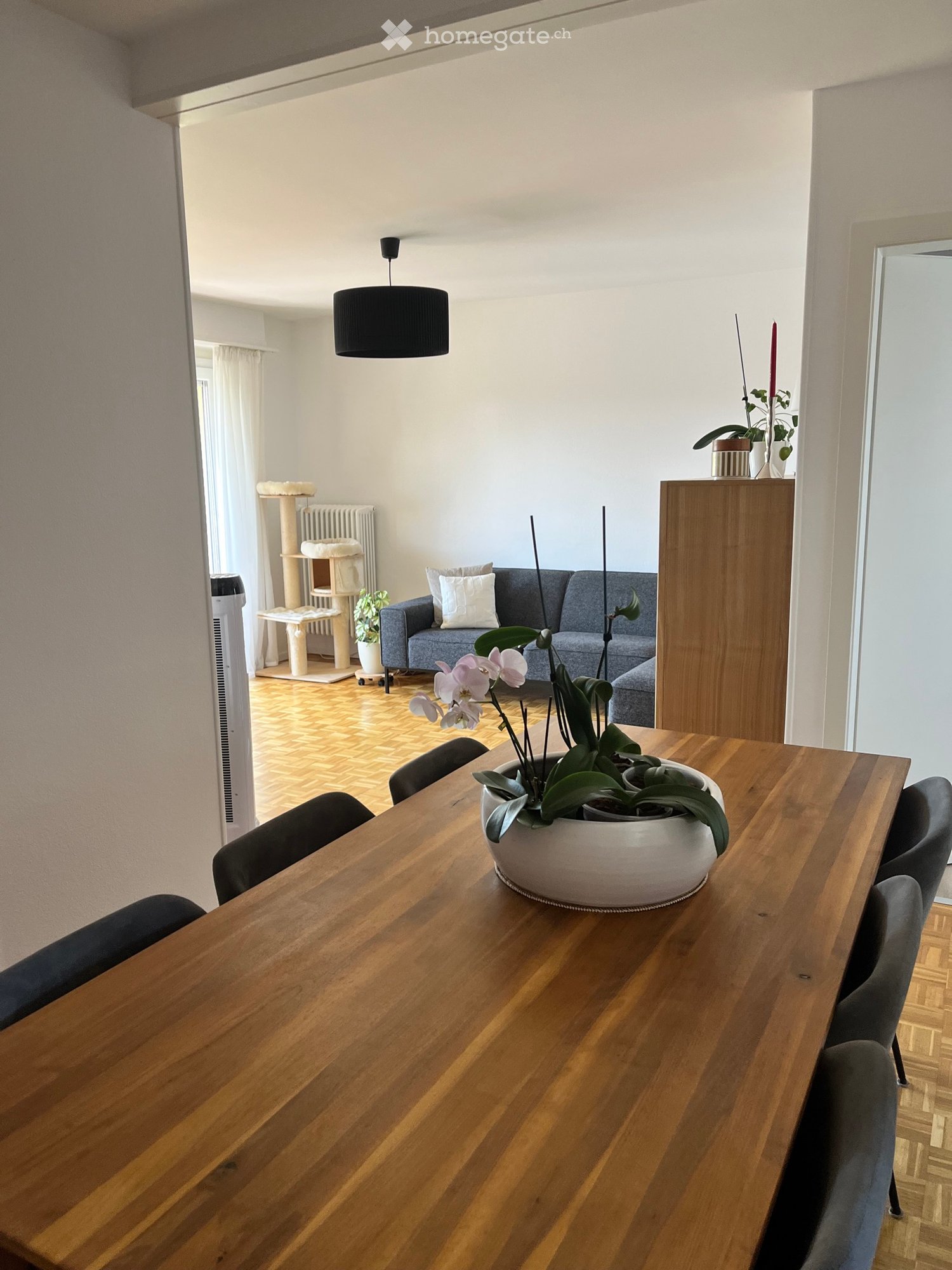 3-Zimmer-Wohnung