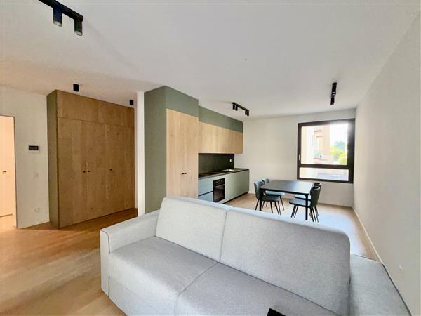 1 ½ rooms furnished flat