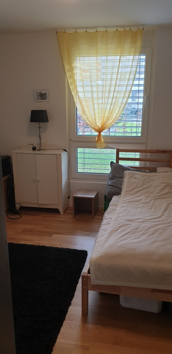 Room in a shared flat