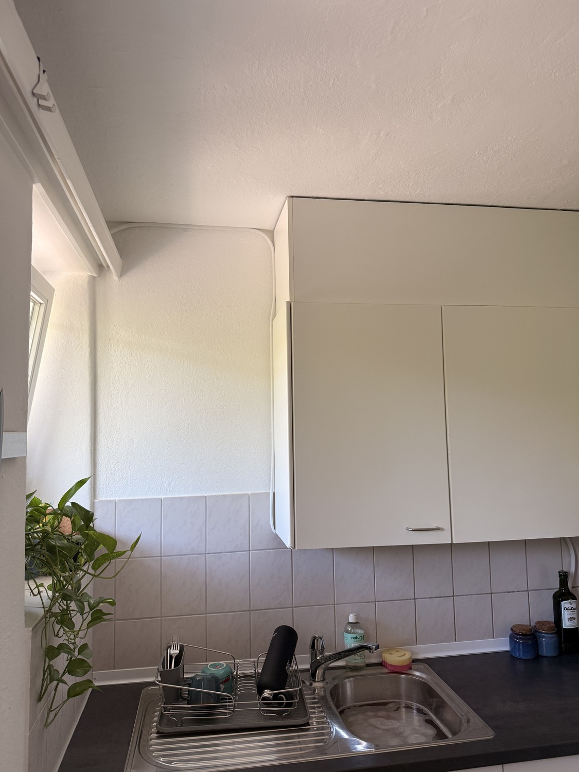 2 rooms apartment, Foto 7 von 8