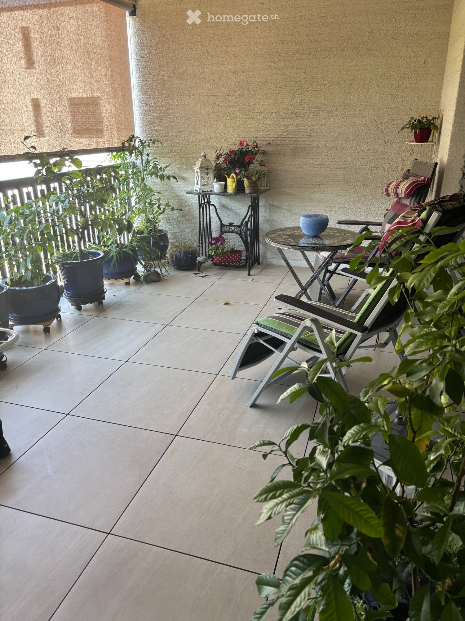 appartement de 2 ½ pièces