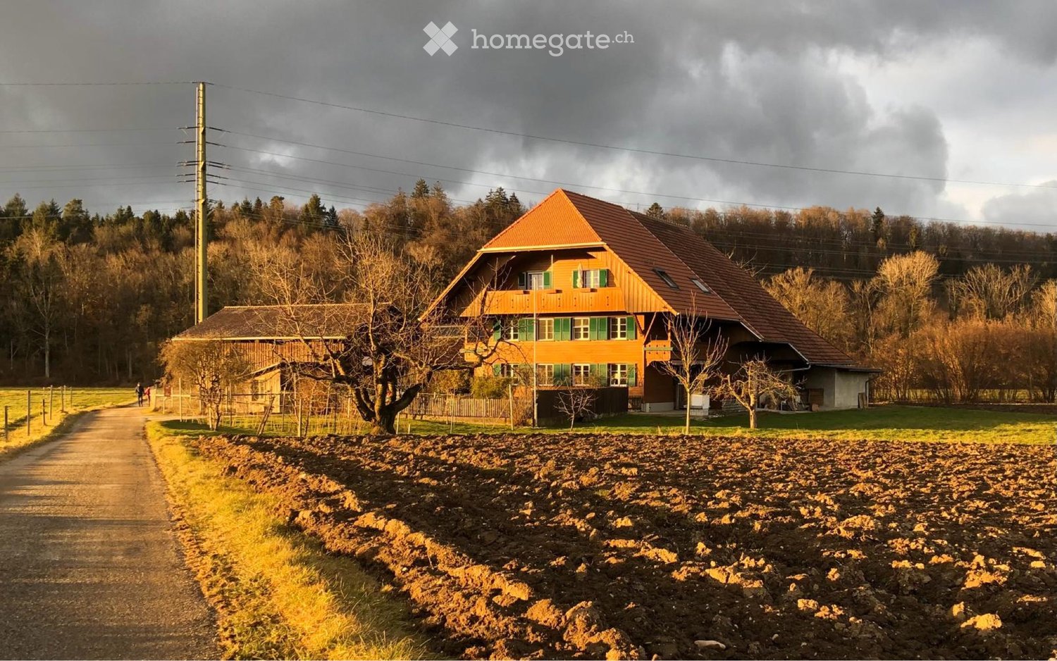 1 room single room, Foto 1 von 4