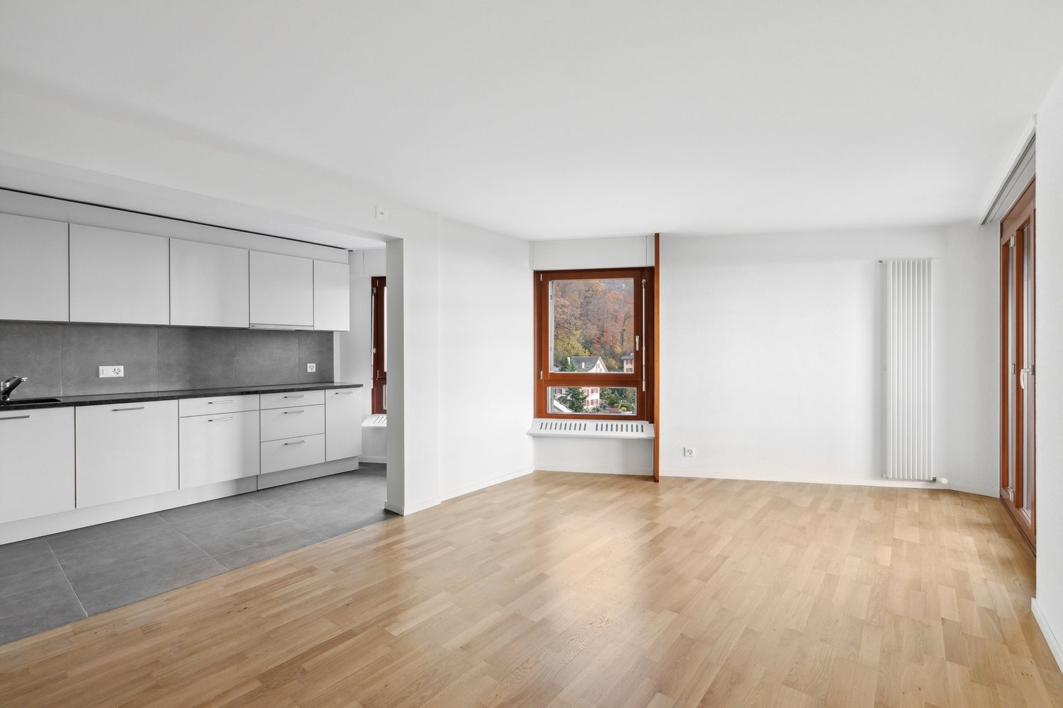 4 ½ rooms apartment (3)