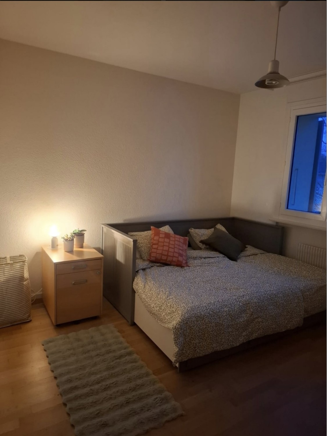 Appartement 1 pièce