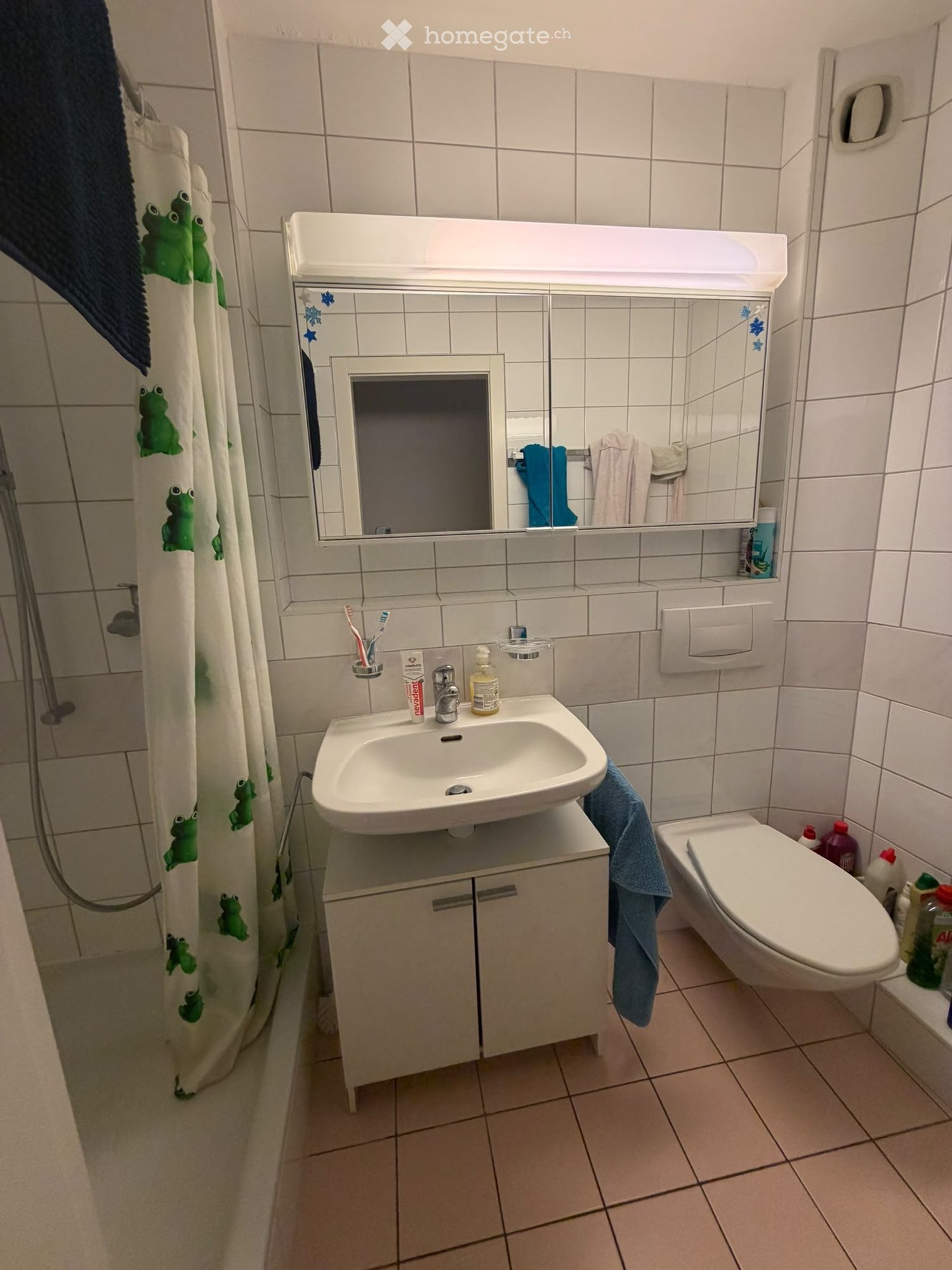 3 ½ Zimmer Wohnung, Foto 1 von 5