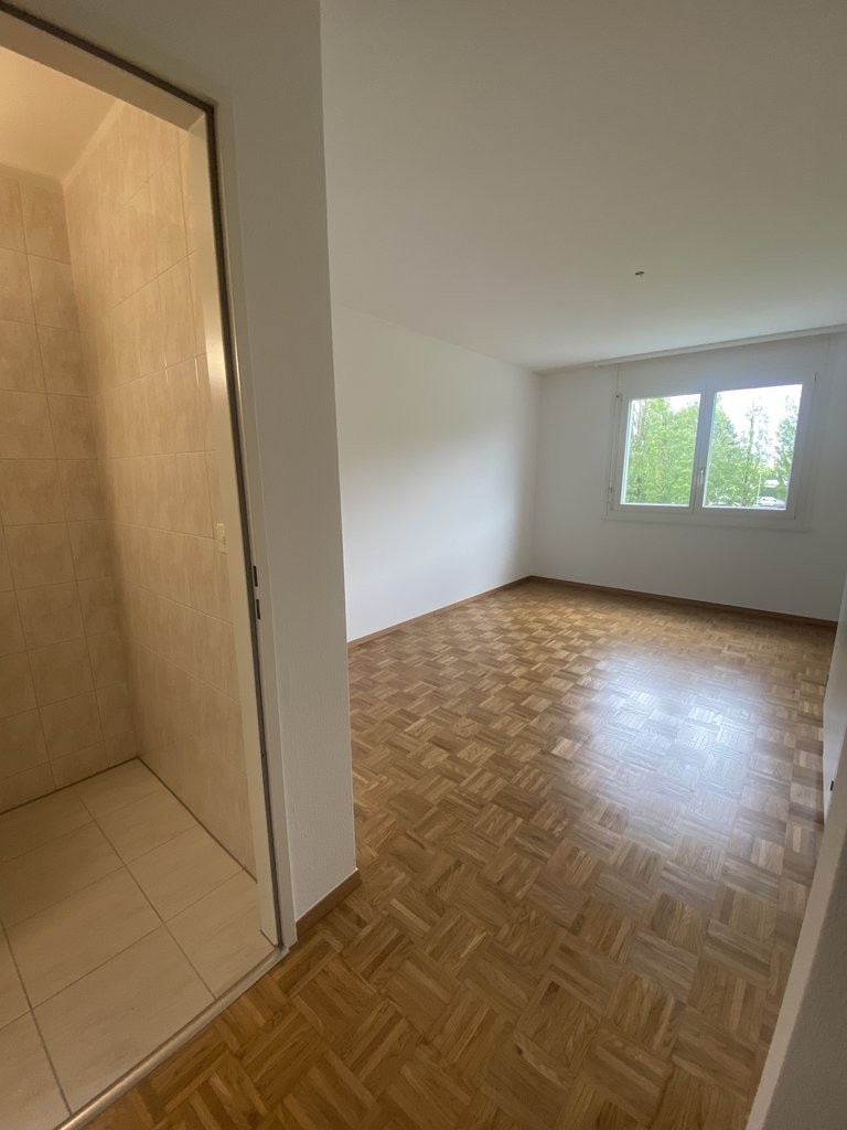 3 ½ Zimmer-Wohnung