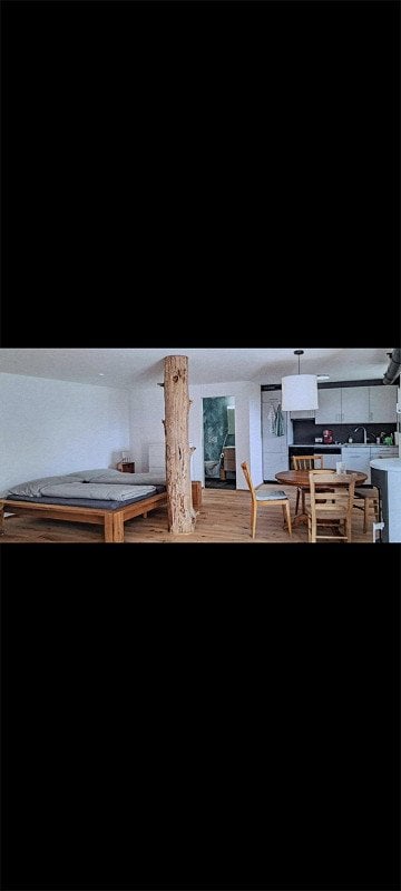 Appartement 1 pièce