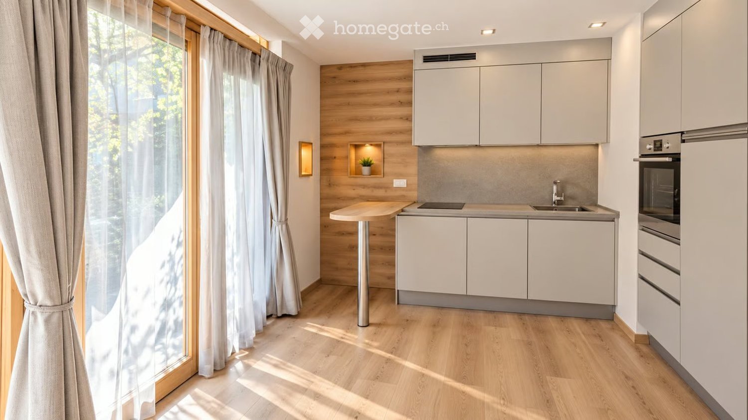2 ½ rooms apartment