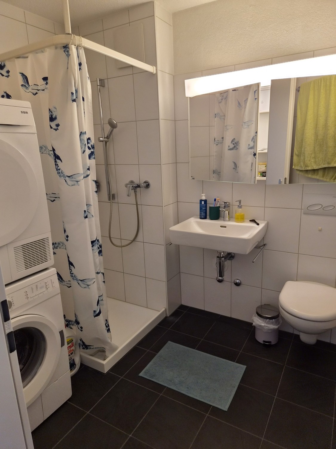 2 ½ Zimmer-Wohnung, Foto 6 von 7