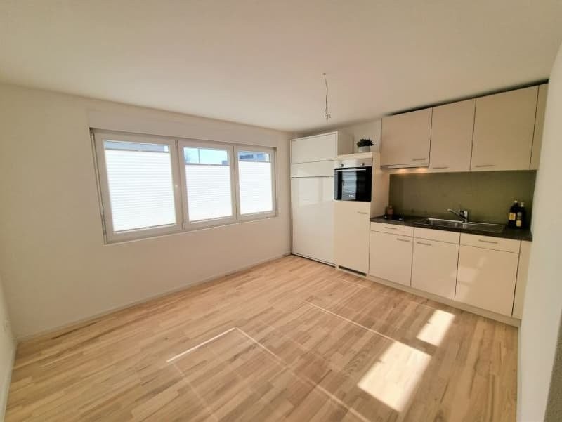 1 room apartment, Foto 3 von 4
