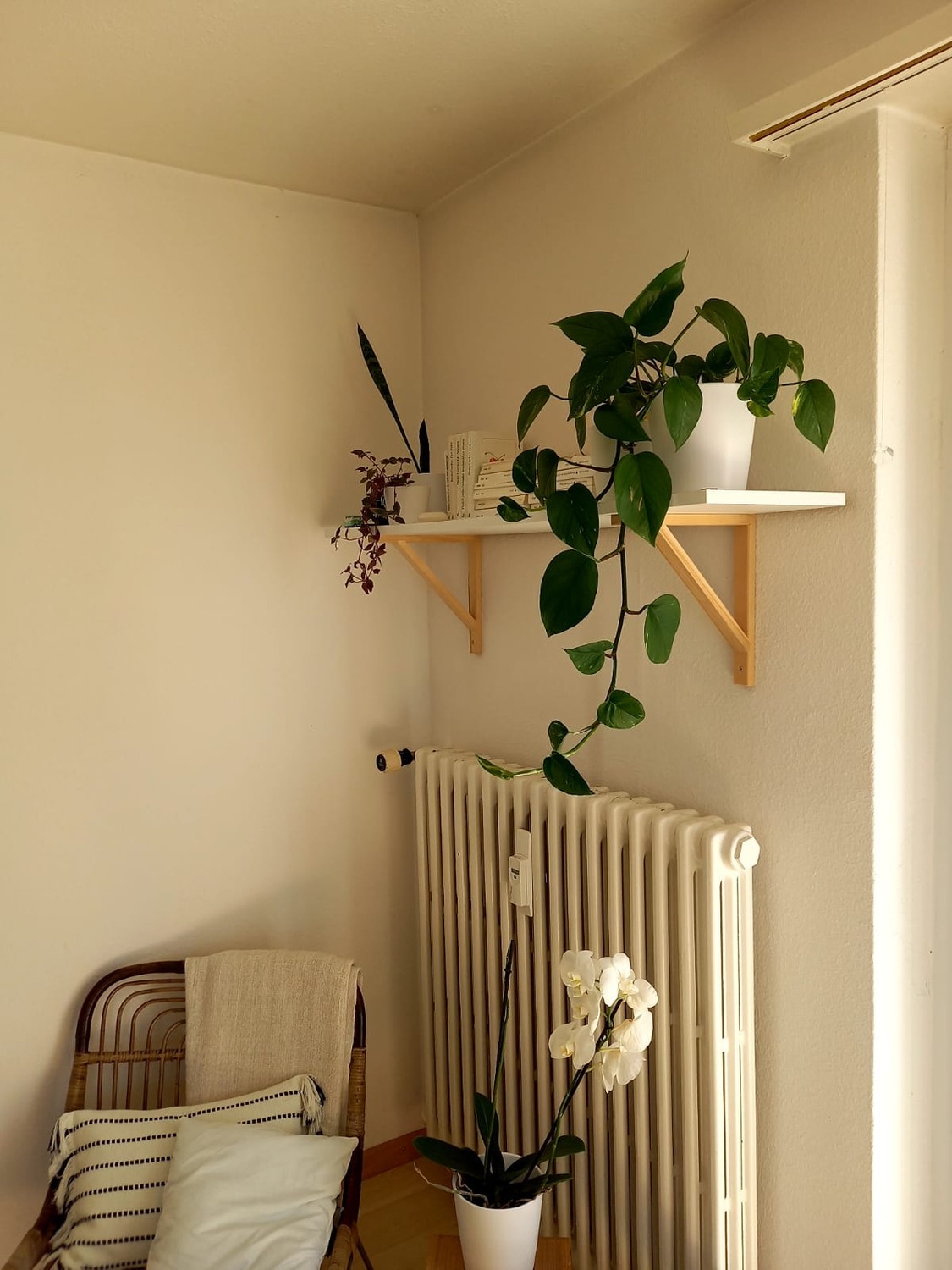 Room in a shared flat, Foto 3 von 6
