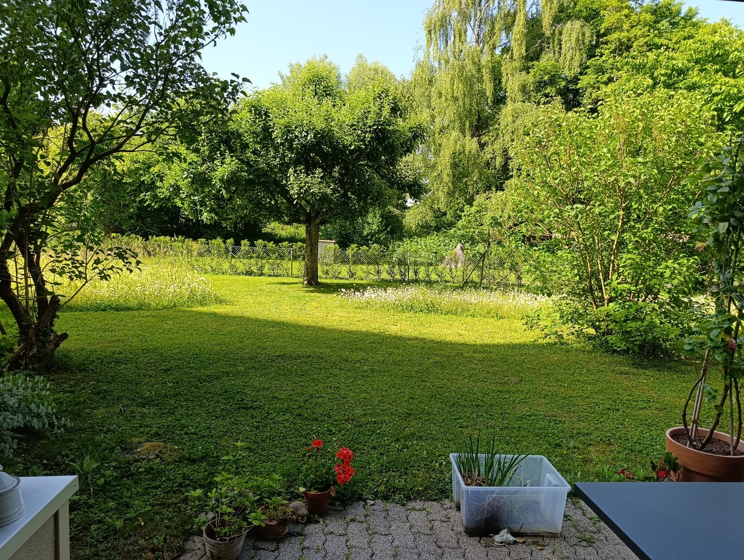 2 ½ rooms apartment, Foto 10 von 10