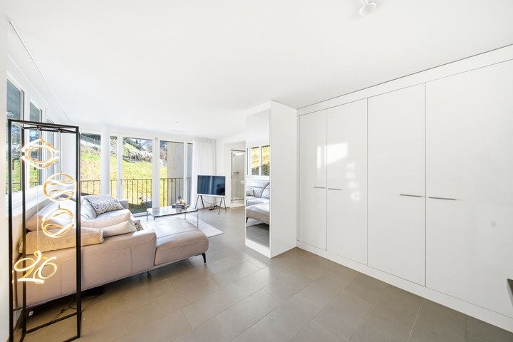 3 ½ rooms apartment (3)