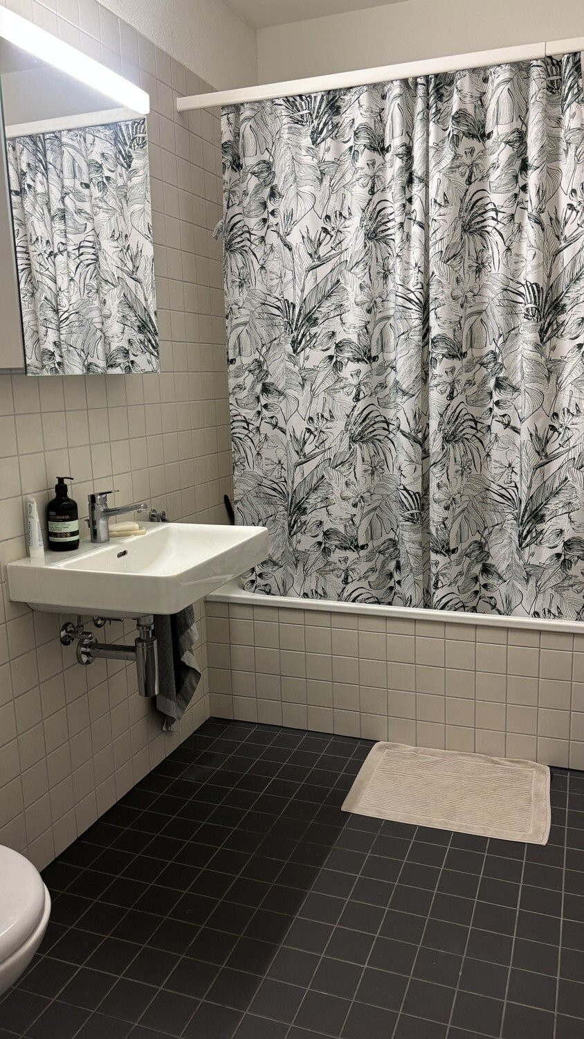 1 ½ rooms furnished flat