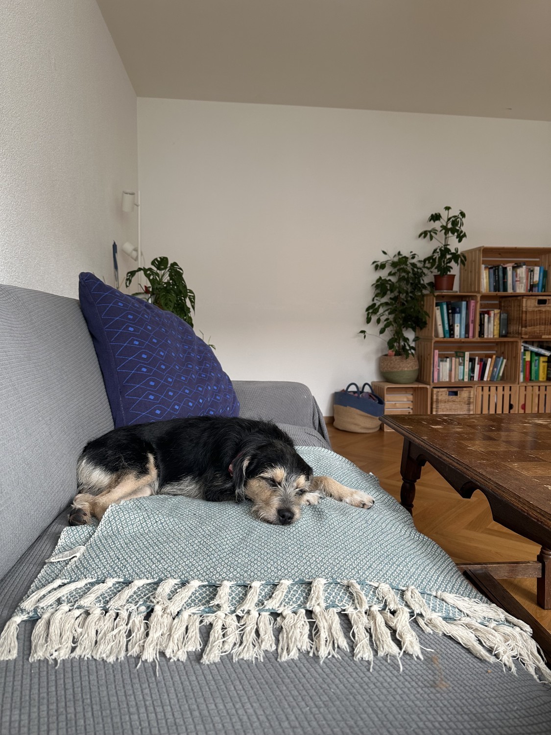 Camera in appartamento condiviso