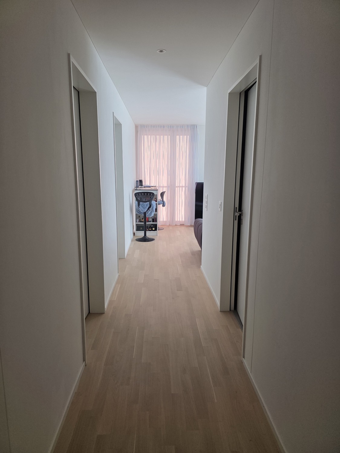2 ½ rooms apartment, Foto 5 von 7