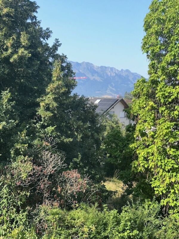appartamento di 3 locali