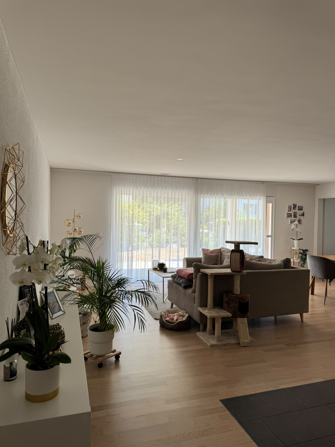 4 ½ rooms apartment