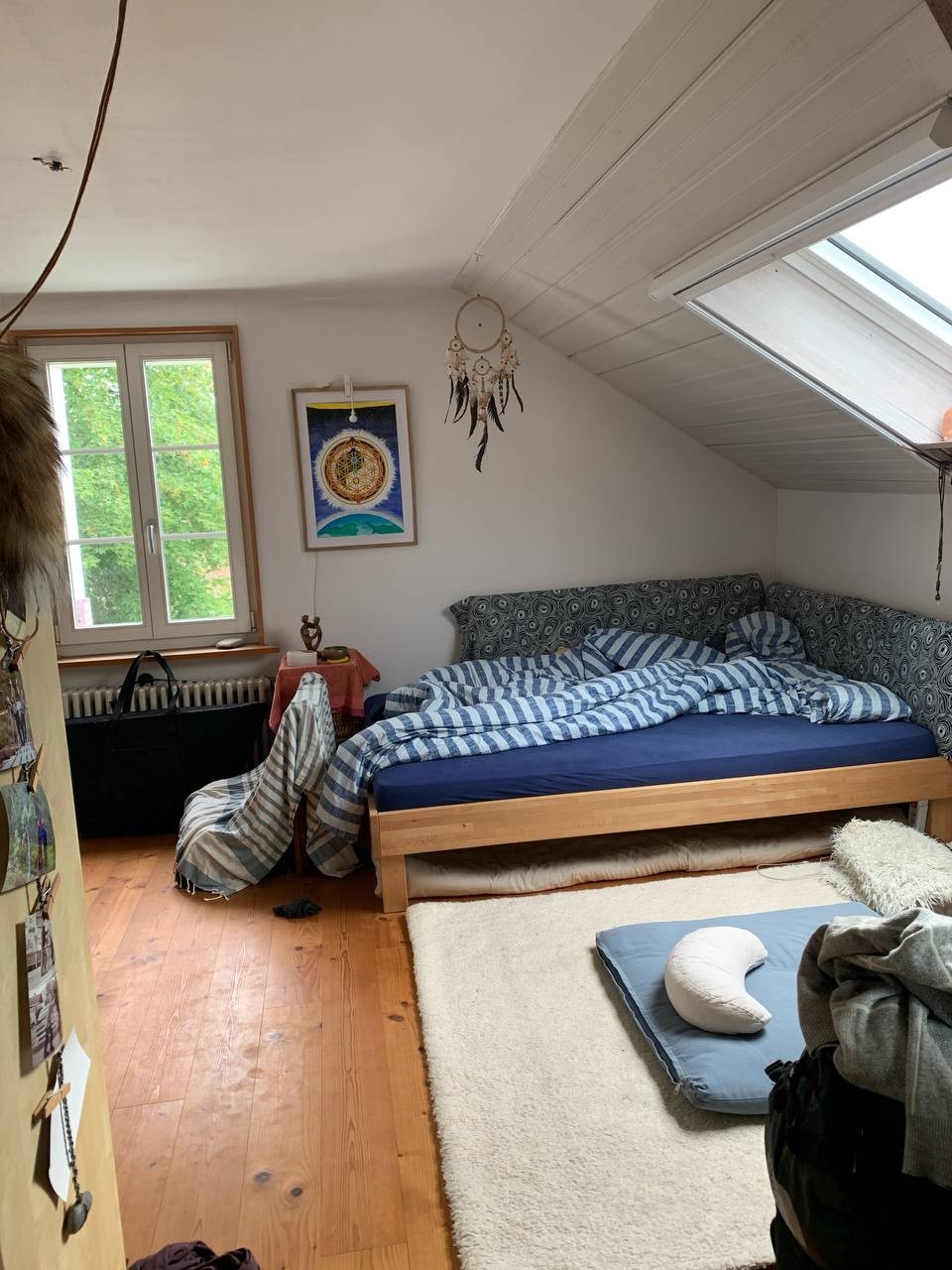 Room in a shared flat