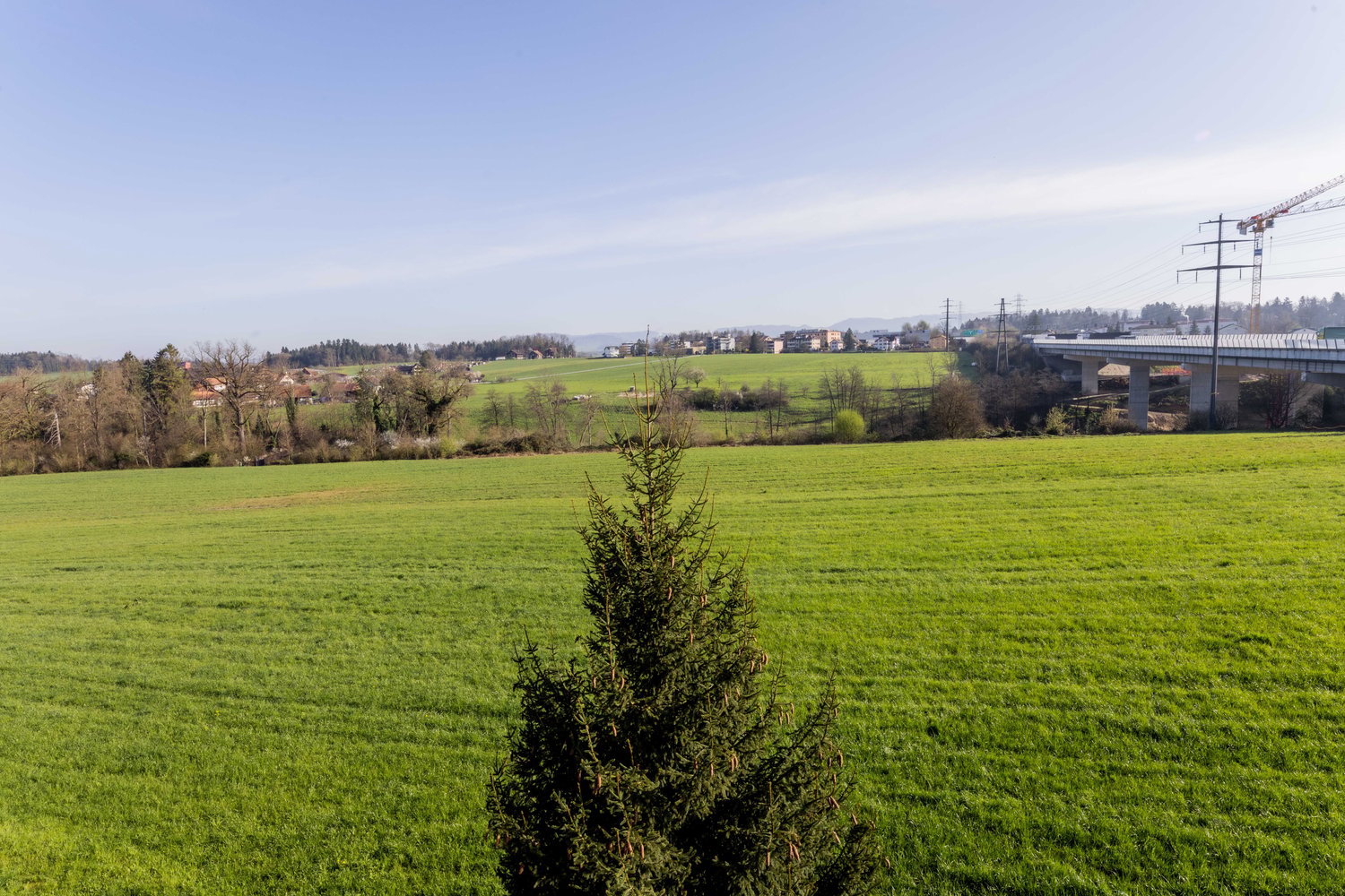 55m² office
