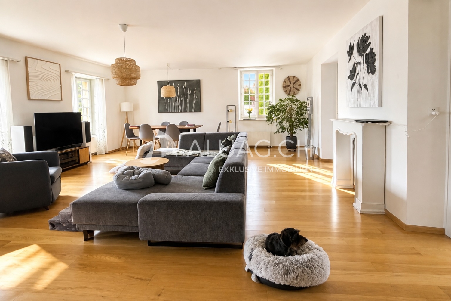 4 ½ rooms apartment