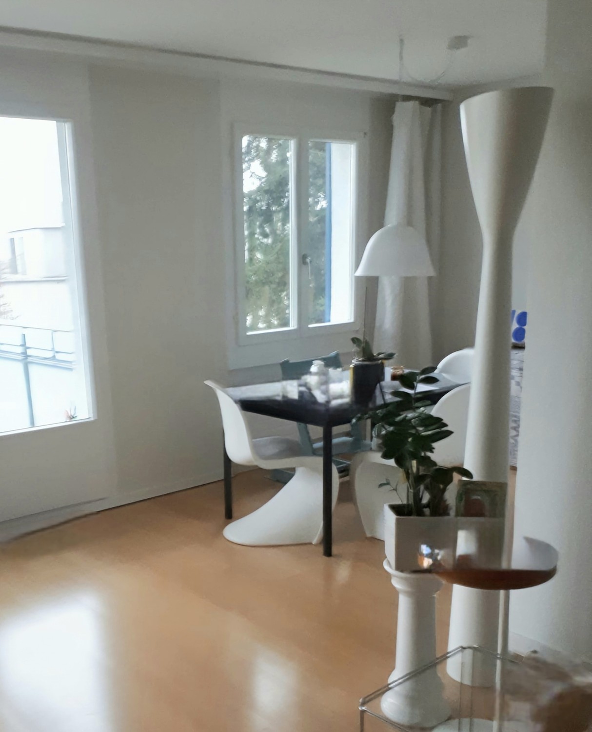 Appartement de 3 ½ pièces