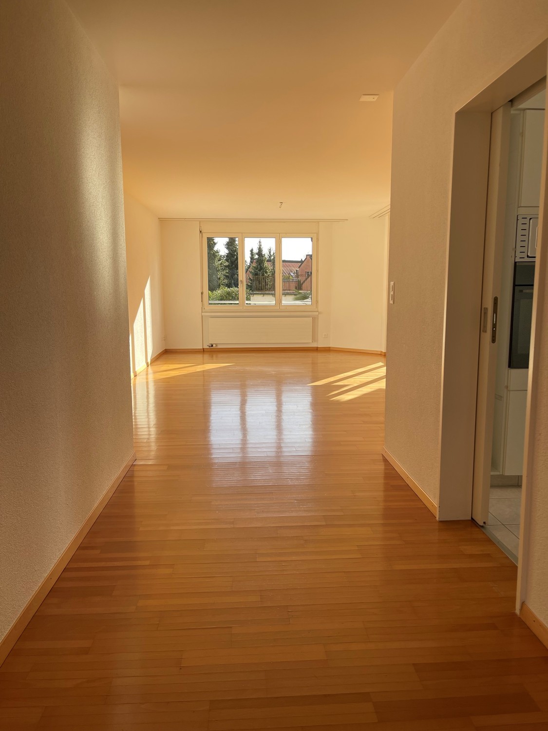 3 ½ rooms apartment