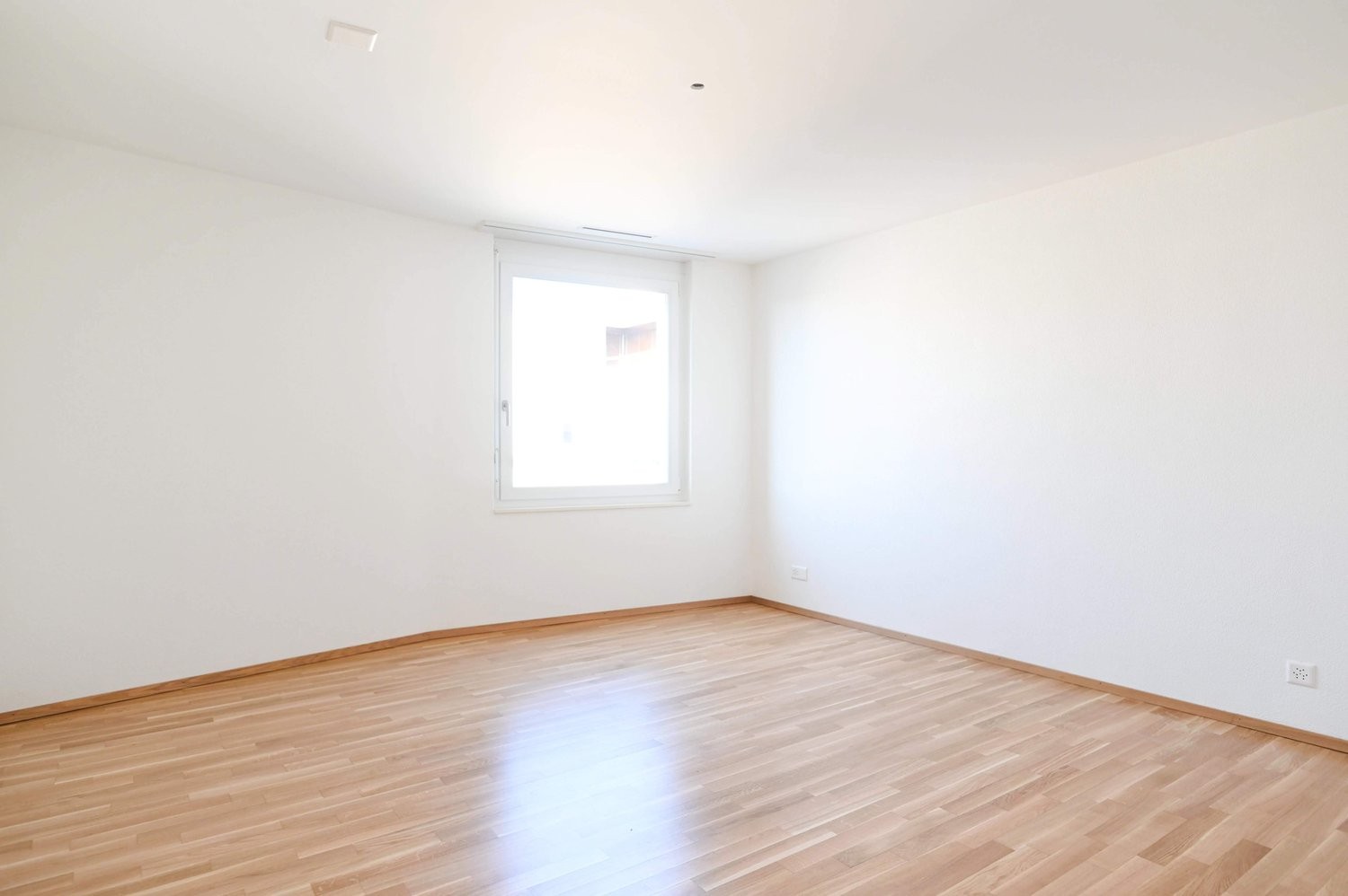 2 ½ Zimmer-Wohnung