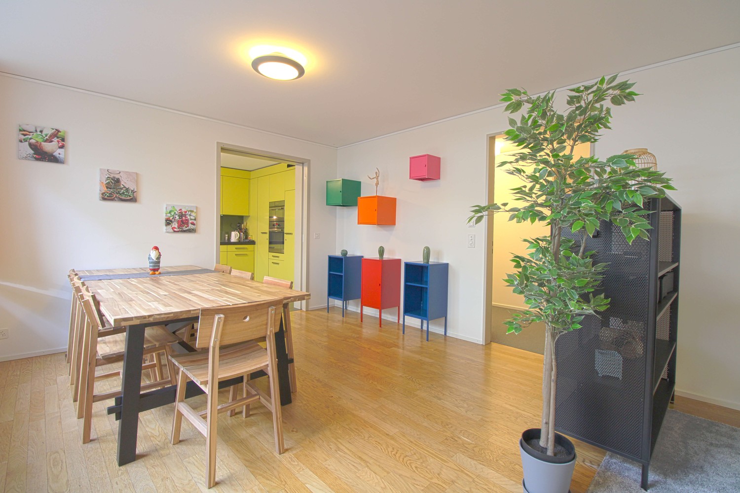 2 ½ rooms studio