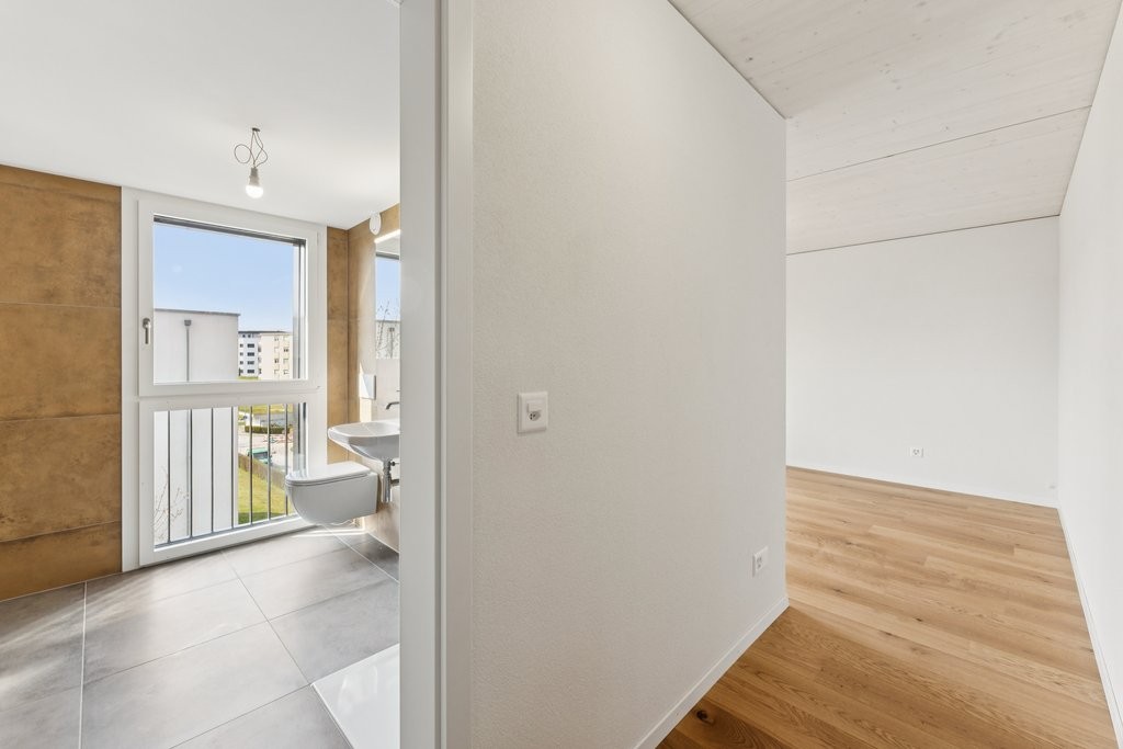 3 ½ Zimmer Wohnung