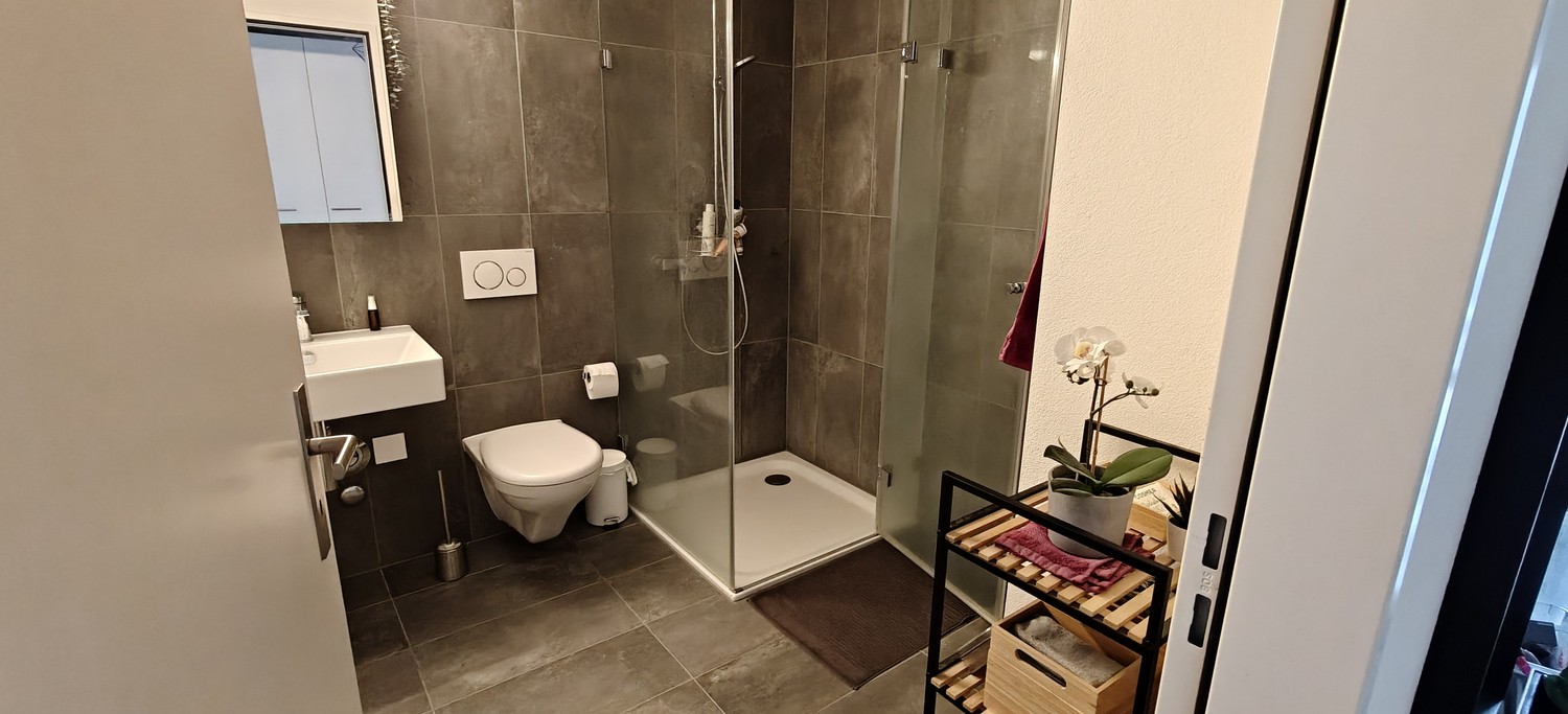 Appartement de 2 ½ pièces, photo 2 sur 3