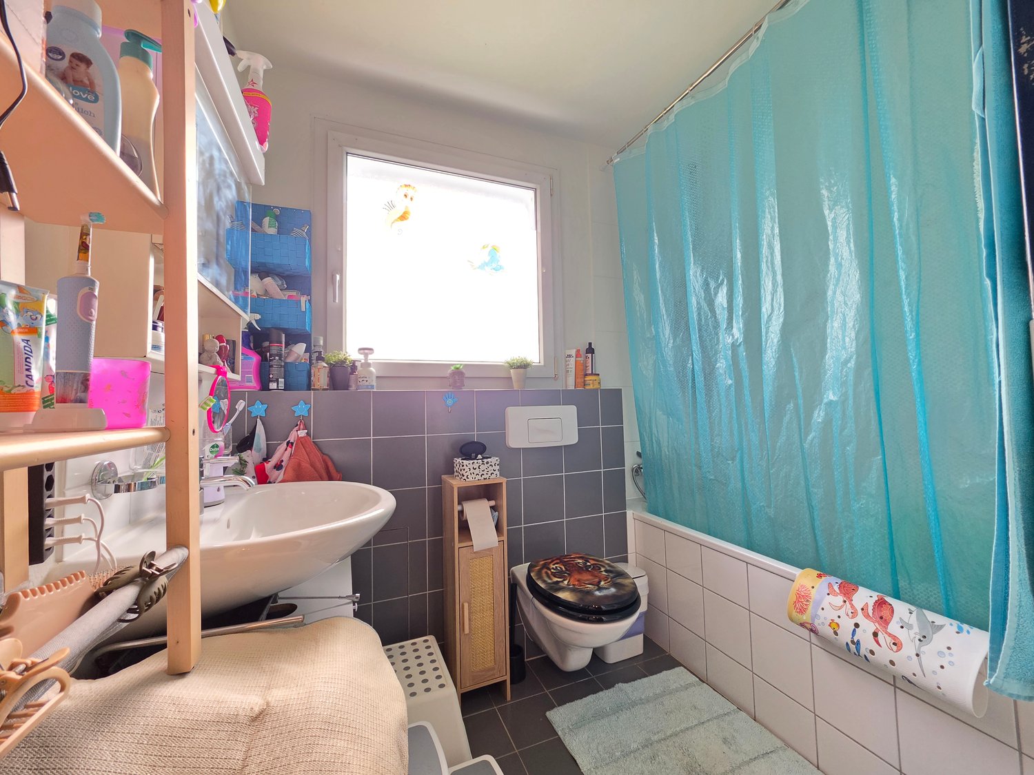 4 ½ rooms apartment