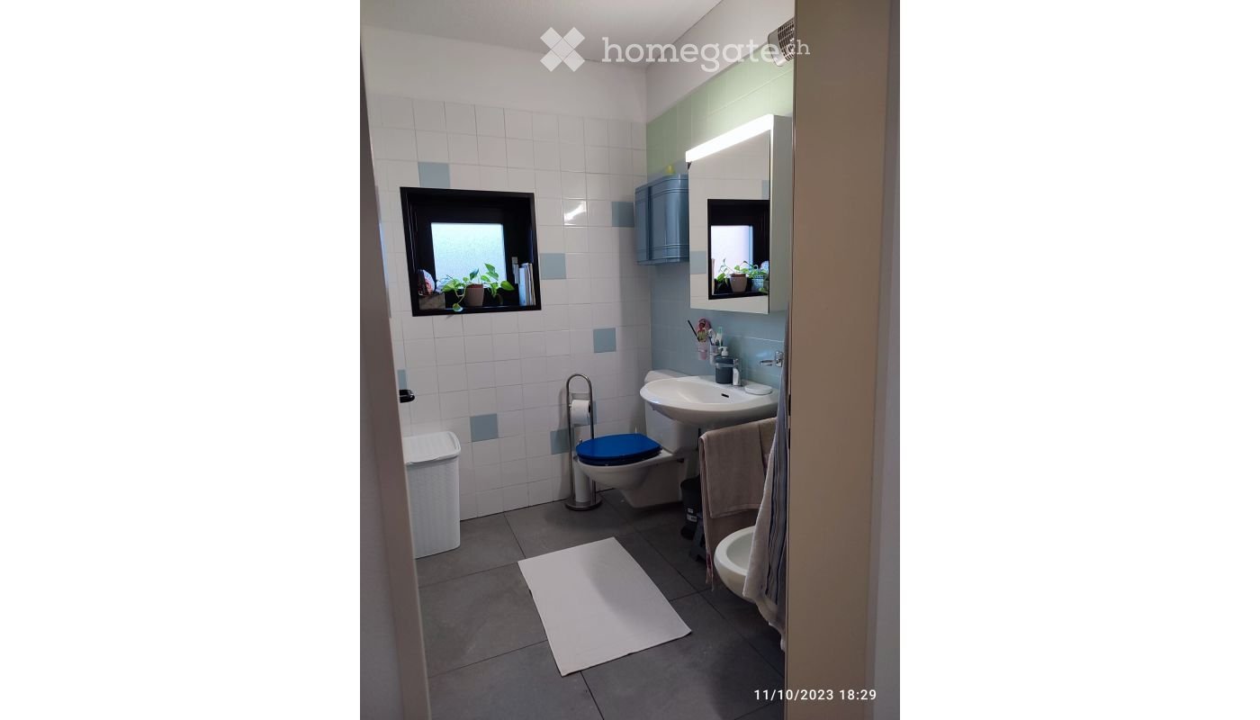 3 ½ Zimmer Wohnung (4)