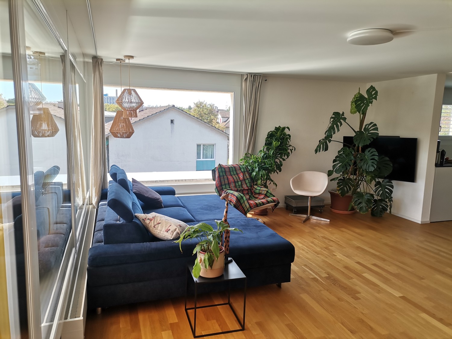 Room in a shared flat