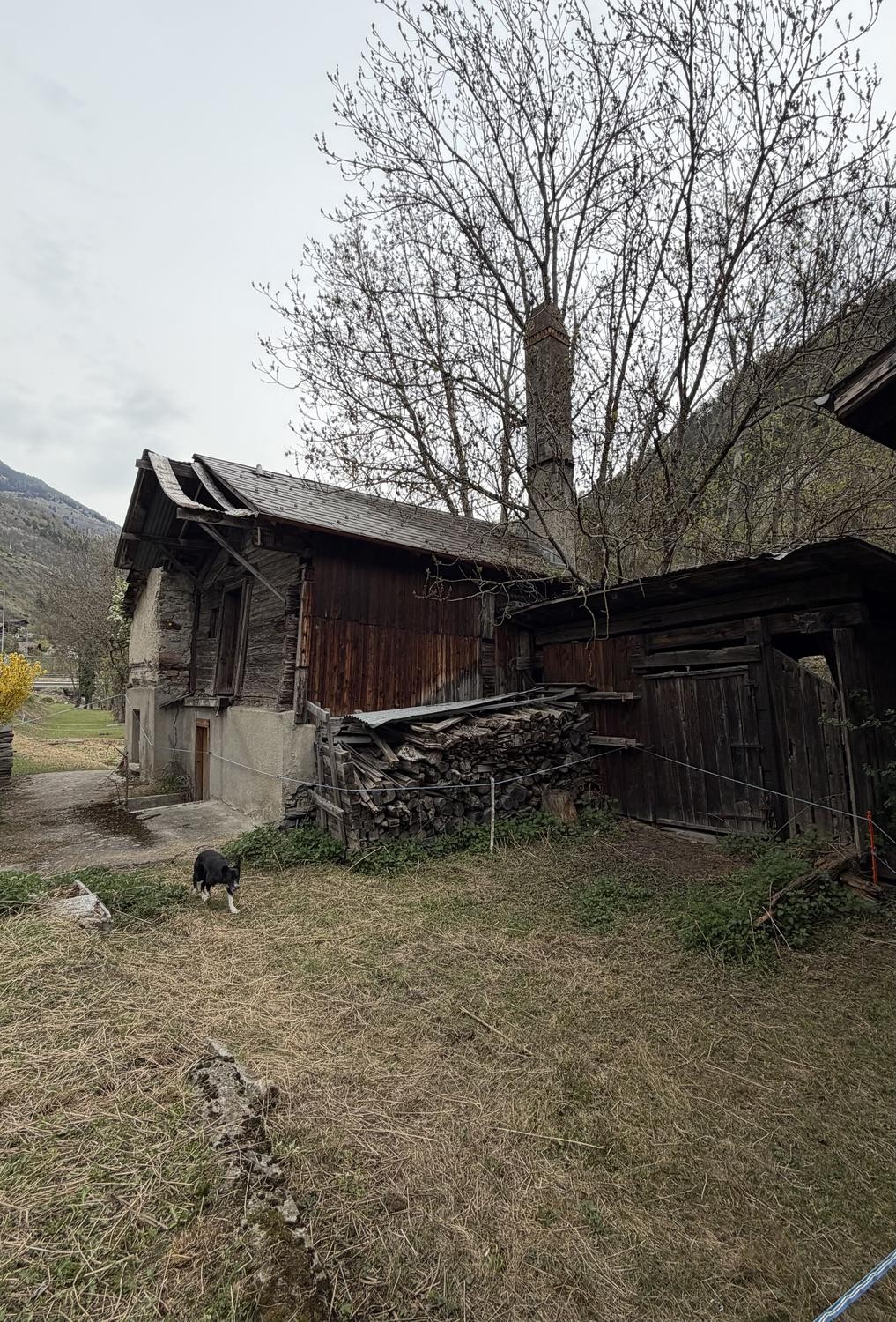 6 rooms single house