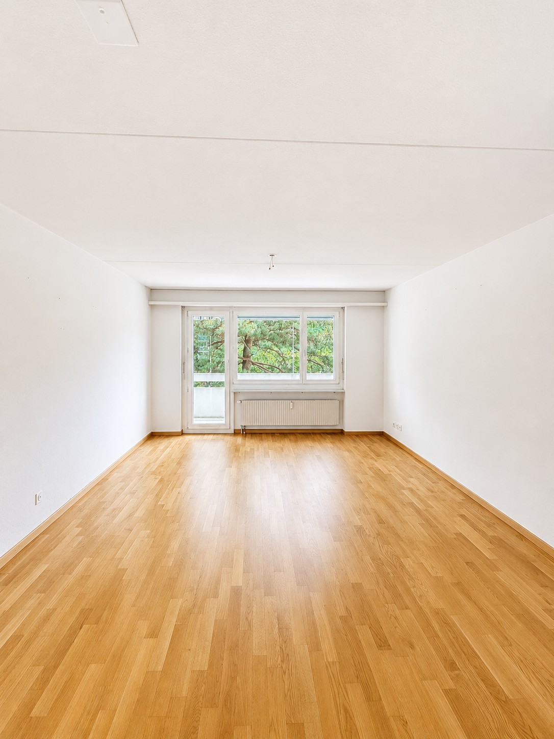 1 room apartment, Foto 1 von 5